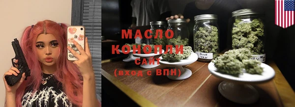 индика Богородск