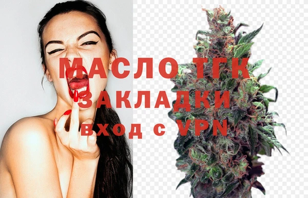 индика Богородск