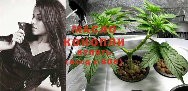 индика Богородск