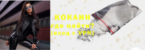 индика Богородск