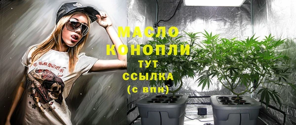 индика Богородск