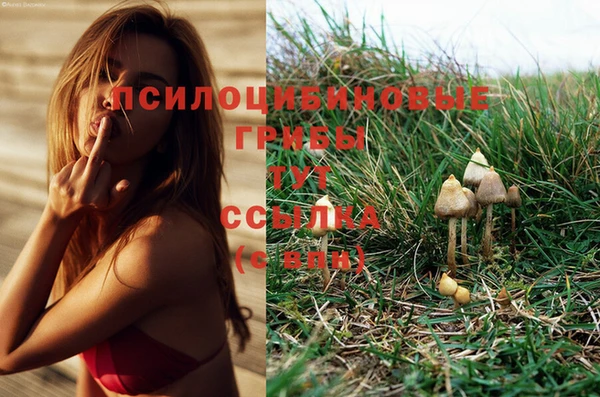 бошки Богородицк