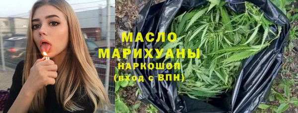 индика Богородск