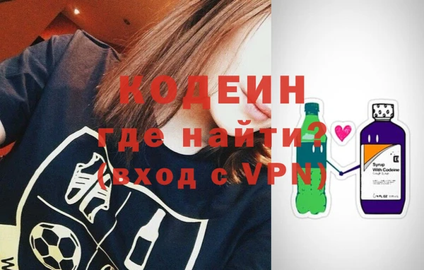 индика Богородск