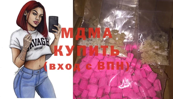 индика Богородск