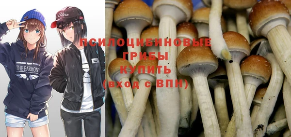 героин Богданович