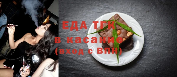индика Богородск