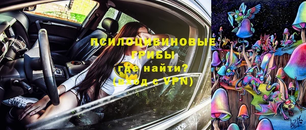 бошки Богородицк
