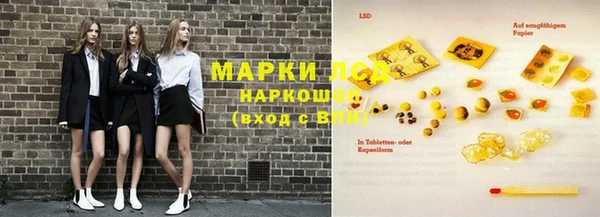 индика Богородск