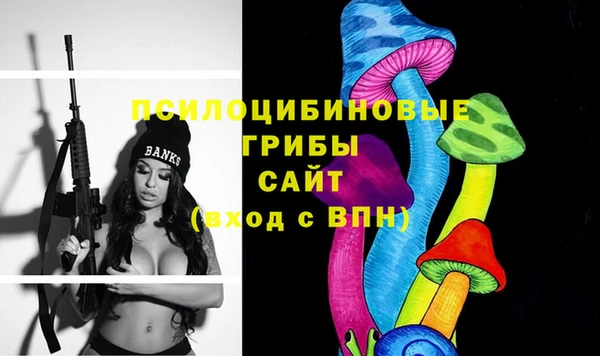 индика Богородск
