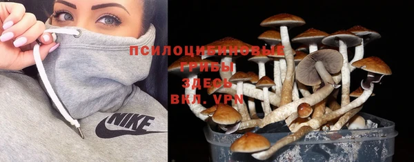 индика Богородск