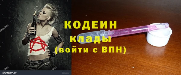 индика Богородск